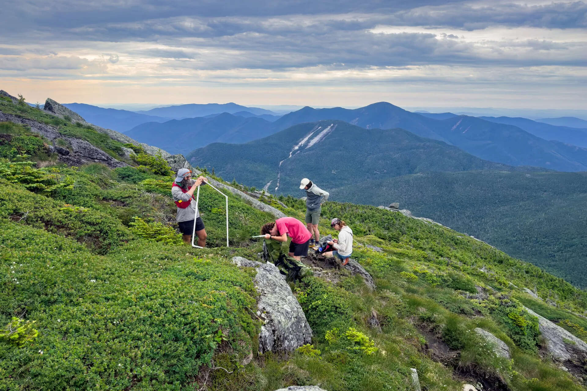 Northeast alpine research project comes to Mount Marcy