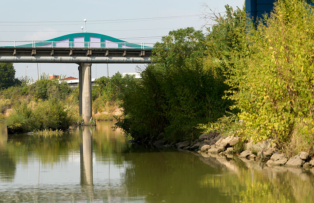 3 bodies found near Houston bayous in 2 weeks, HPD investigating