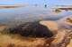 Dark oil residue collects in shallow coastal waters on Qeshm Island, Iran, Thursday, Aug. 13, 2026, amid ongoing wartime attacks on vessels and infrastructure in and around the Strait of Hormuz, though the spill's source has not been independently determined.(Amirhosein Khorgooi/ISNA via AP)