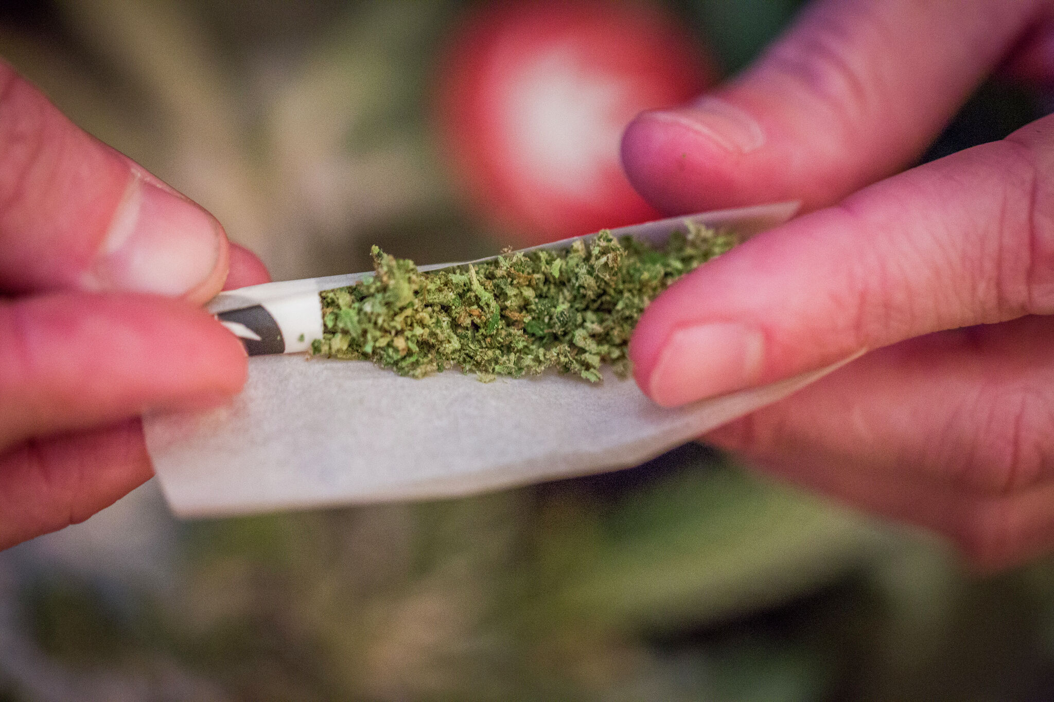 sfchronicle.com - Erin Allday - UCSF cannabis study finds unexpected heart rhythm results