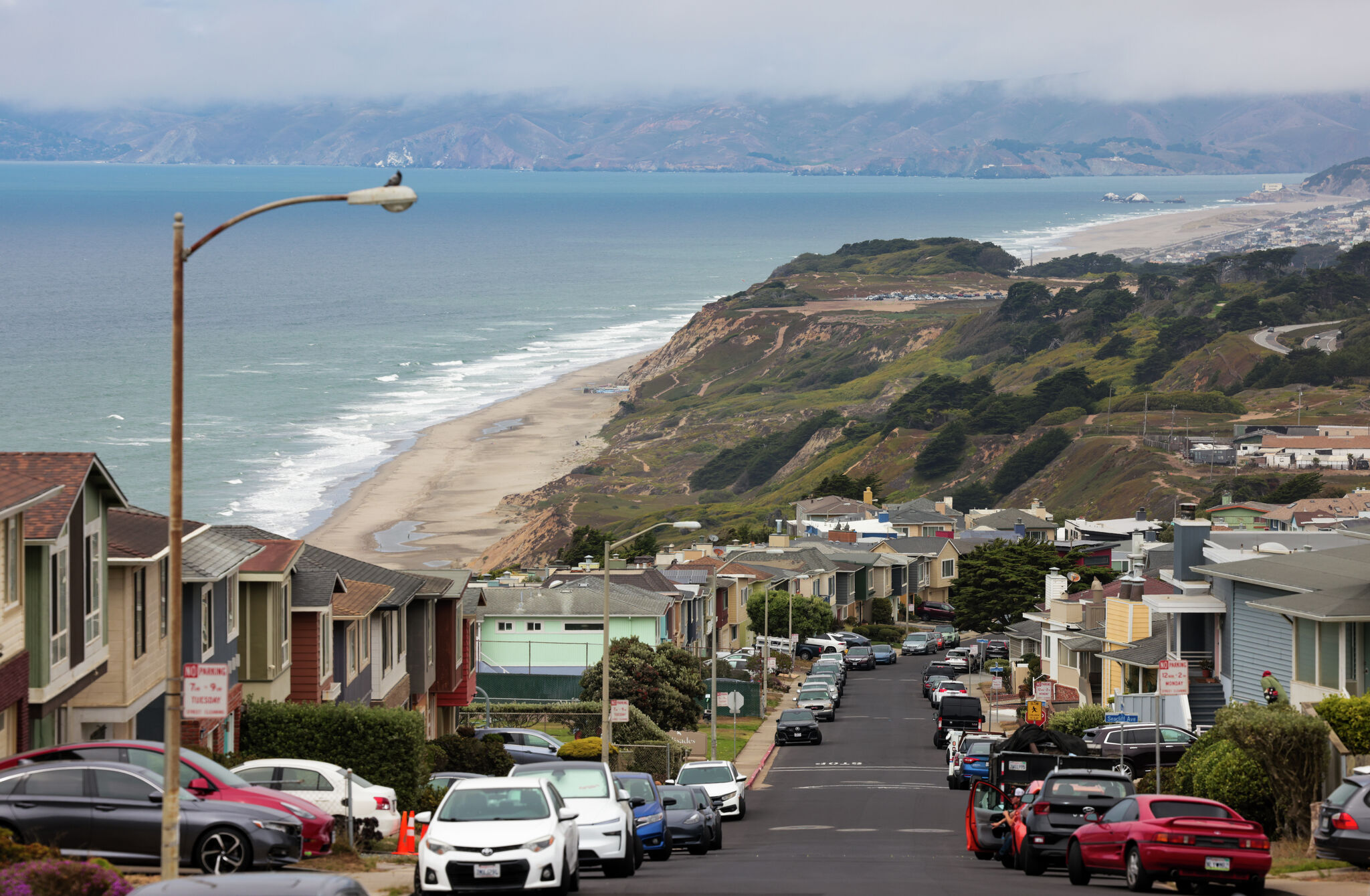 Decapitated sea lion found at Ocean Beach prompts investigation