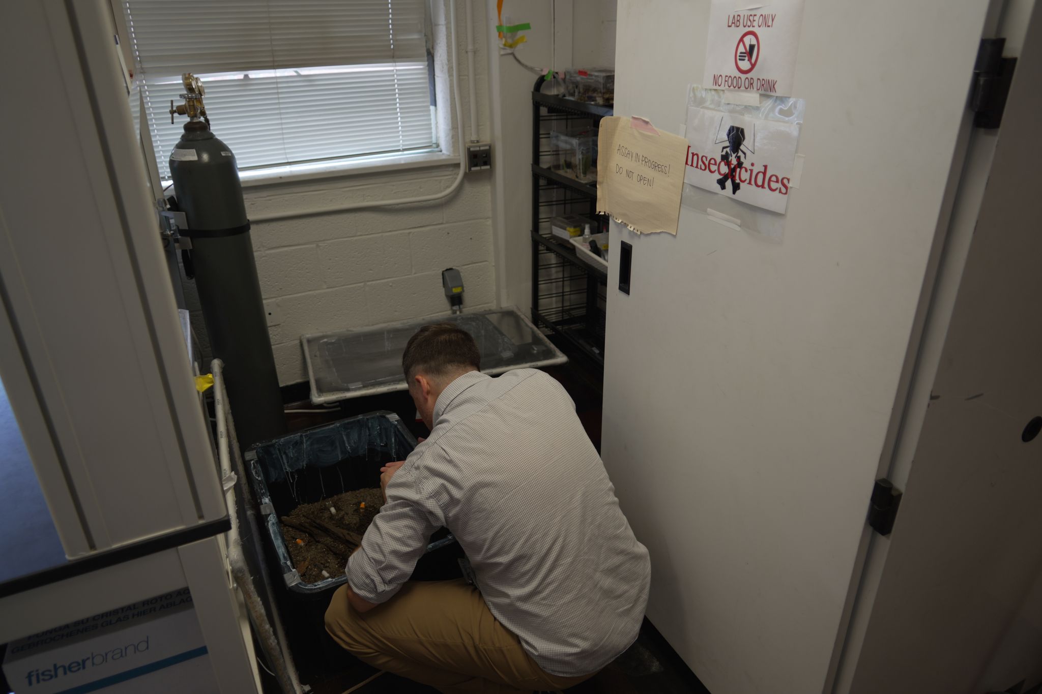 Bedbugs can cause people to lose sleep — and blood. Here's what to do about them By MIKE STOBBE , AP Medical Writer Aug 15, 2026
