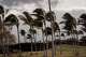 Wind whips through palm trees Saturday as people walk along a path at Waikoloa Beach Resort in Hawaii. The tropical storm strengthened into a hurricane as it approached Hawaii, with up to 25 inches of rain possible on the Big Island.