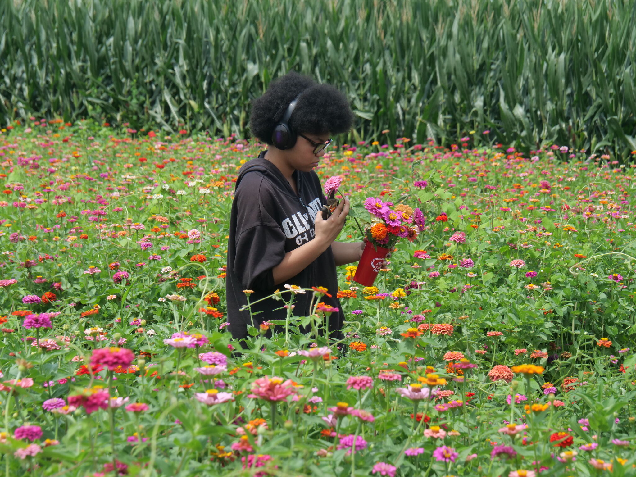 Zinnia Fest brings bright blooms and local farm fun to Glen Carbon