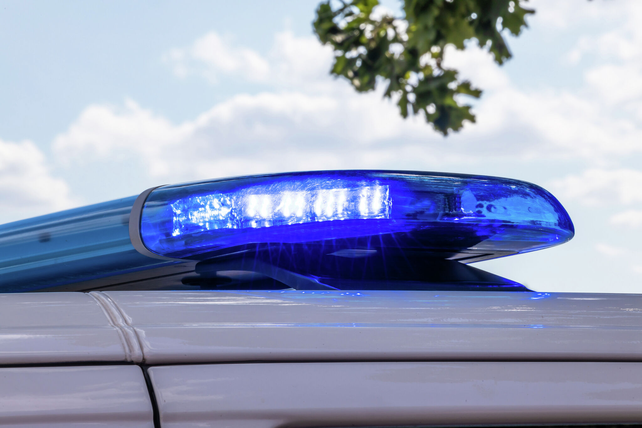 Combined sheriff's blotters for Aug. 10-16