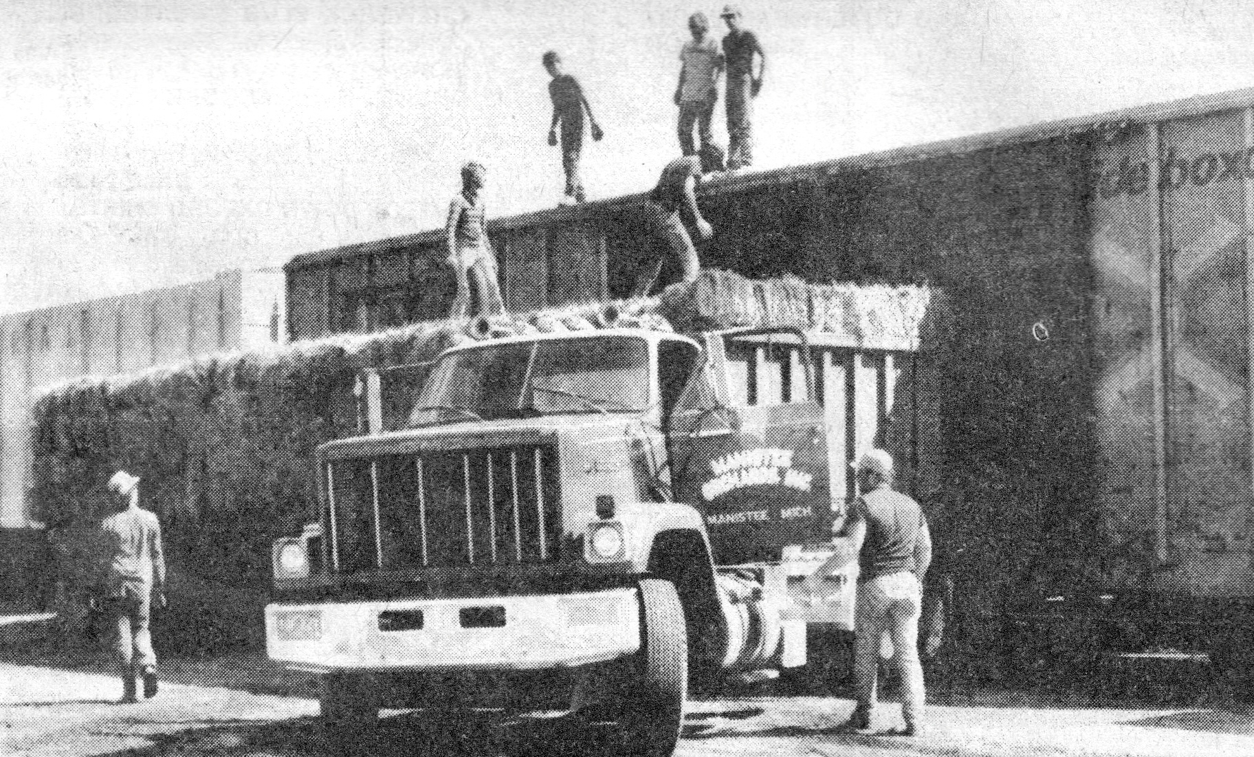 Looking Back for Aug. 20: Manistee County sends hay to drought-stricken South