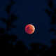 A deep partial lunar eclipse will turn most of the moon copper red over Houston on the night of Aug. 27 into Aug. 28.