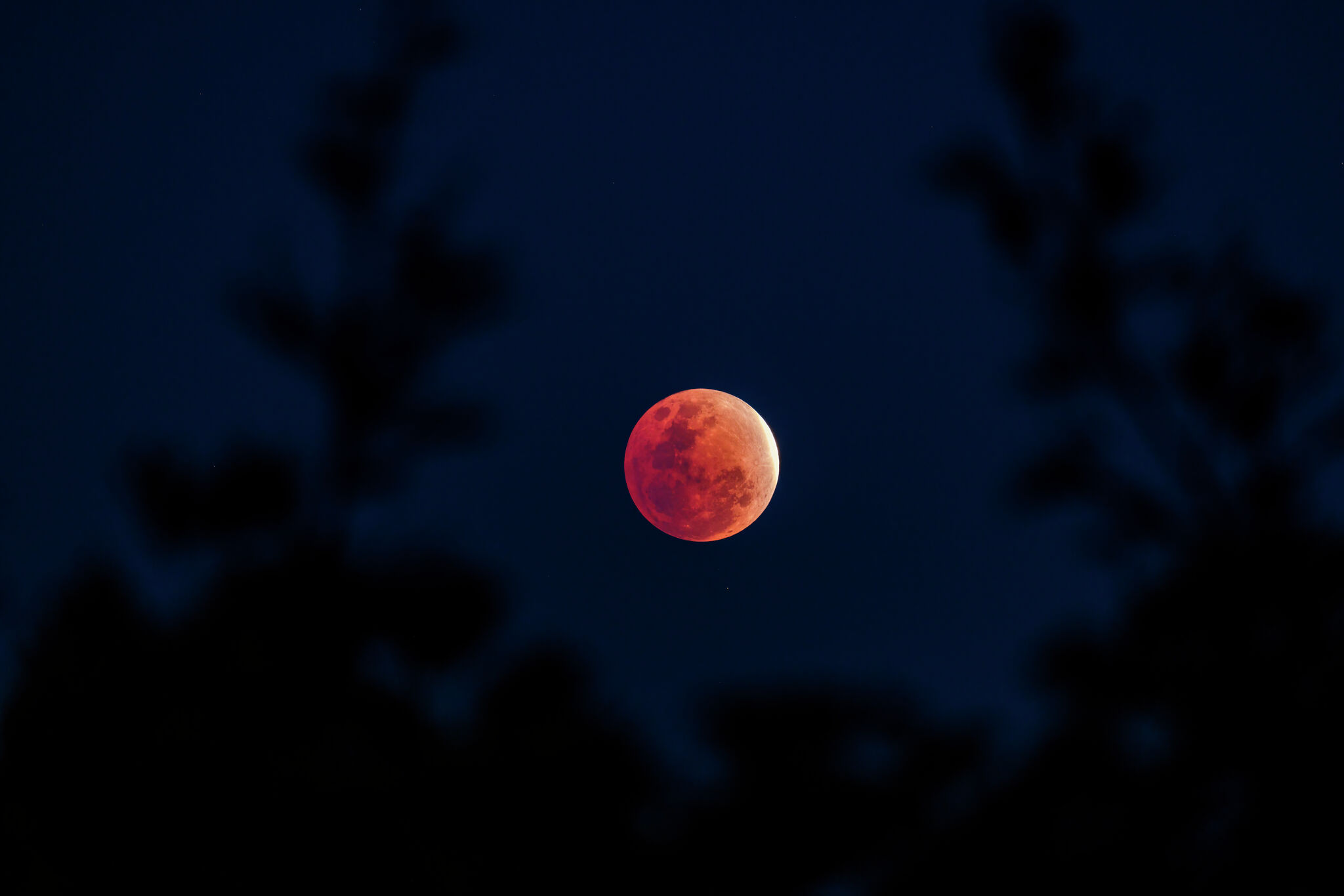 When to see the moon turn red