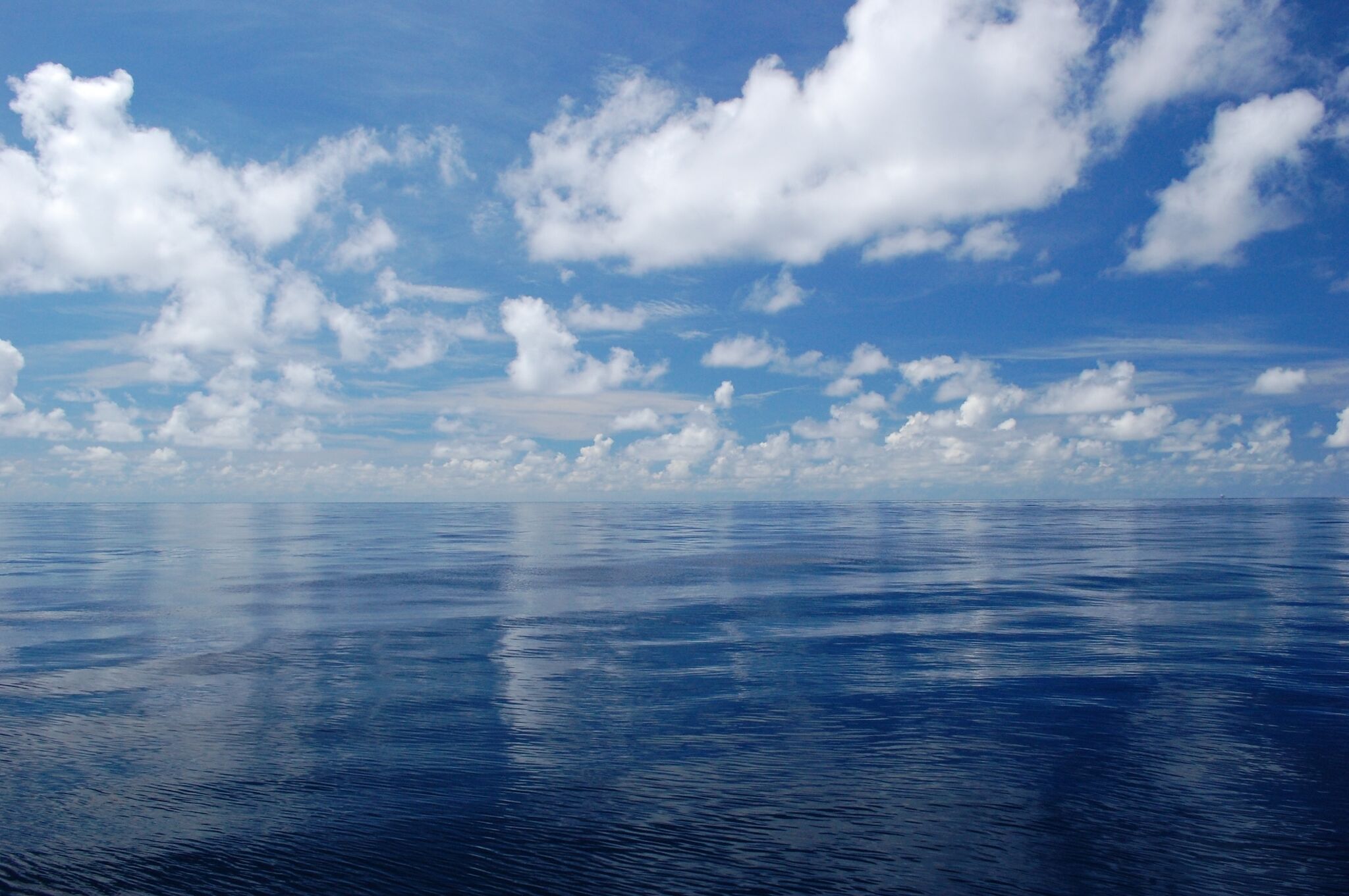 chron.com - Chris Gray - Offshore fish farming future near Texas coast hangs in balance