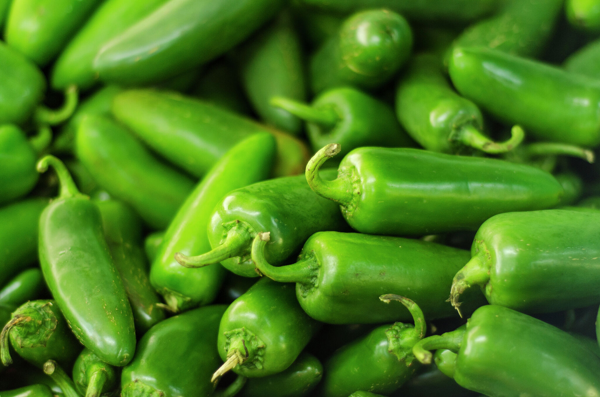 Costco jalapeño recall hits Texas stores over Salmonella risk