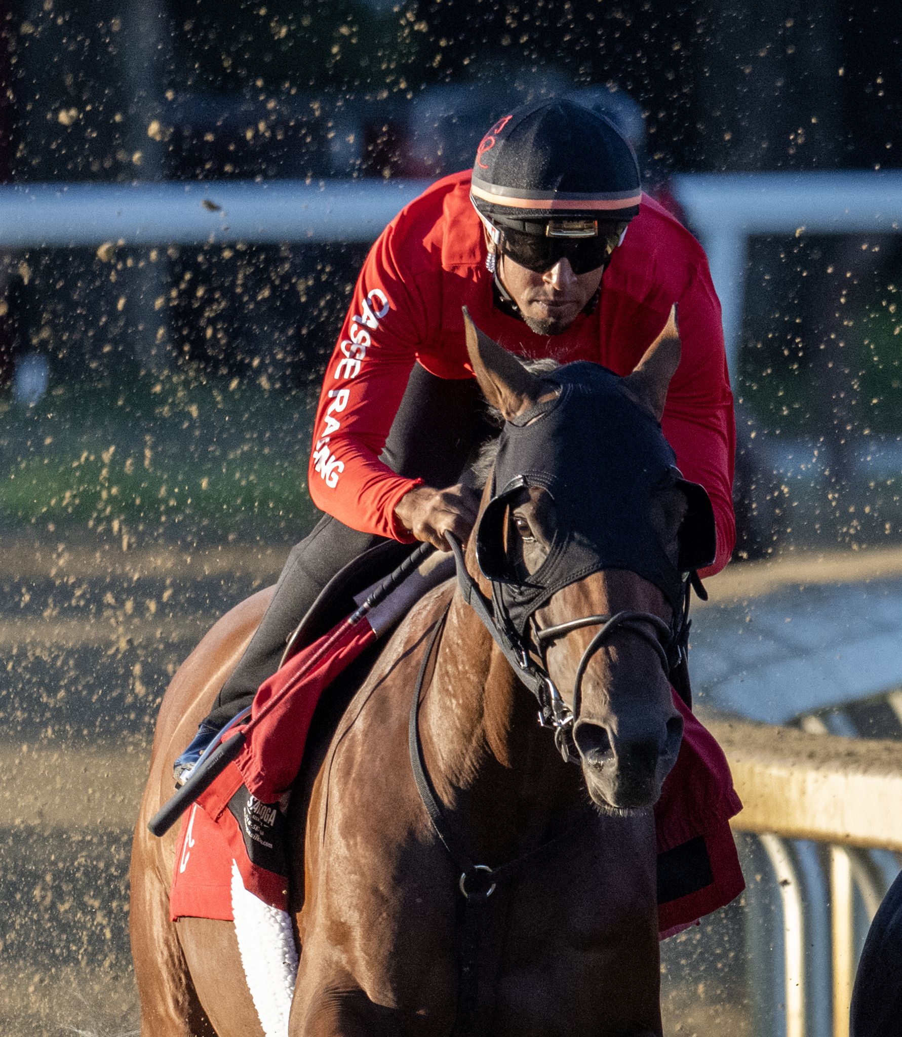 Finally, Silent Tactic reached the starting gate for his debut at Woodbine in Toronto last October. He won his first time out. He has hit the board in all seven of his lifetime starts