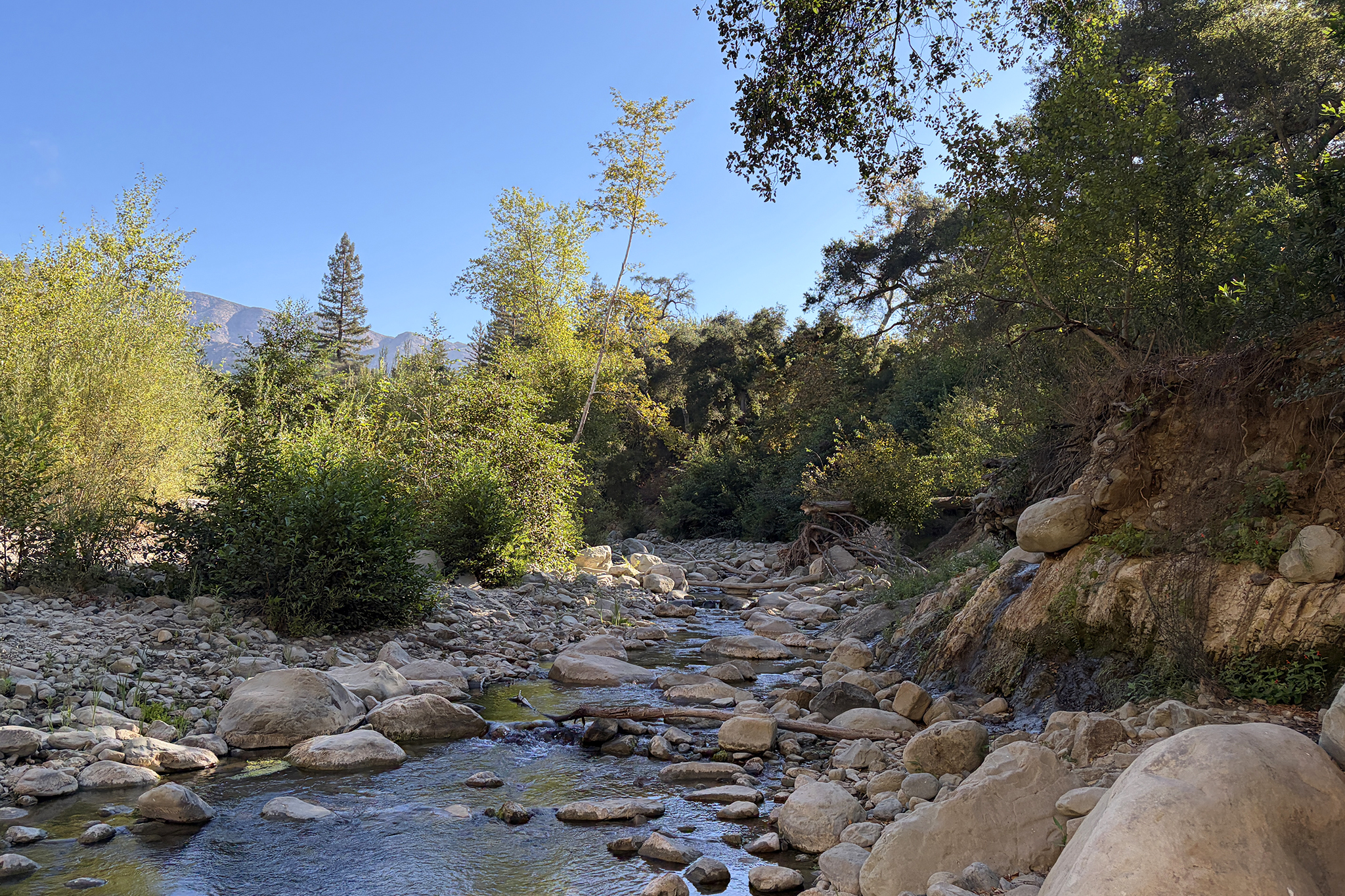 The gorgeous, dangerous Santa Paula punch bowls are having a viral moment