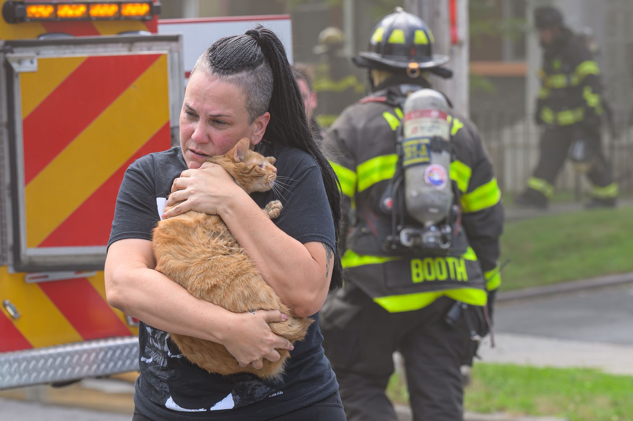 Two cats were safely reunited with their owner outside the home on North Allen Street.