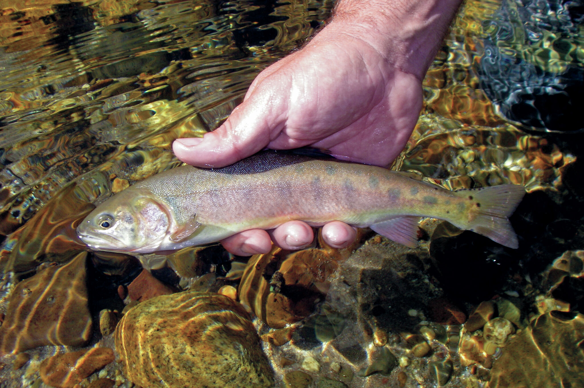 https://s.hdnux.com/photos/01/67/10/24/31229246/4/rawImage.jpg