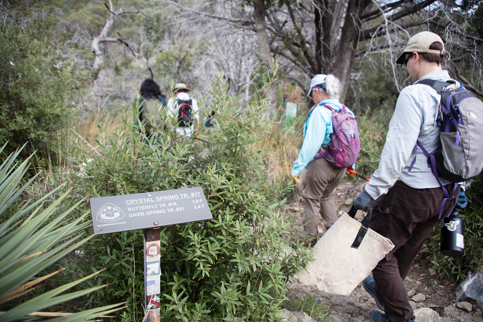 On Mount Lemmon, volunteers give unemployed rocks a new job: Erosion control By STEPHANIE CASANOVA/Arizona Luminaria , Arizona Luminaria Aug 21, 2026