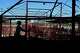 A cattle handler moves calves during an auction at a livestock market in Hermosillo, Mexico, Tuesday, Aug. 18, 2026, ahead of the reopening of the U.S. border to Mexican cattle imports.
