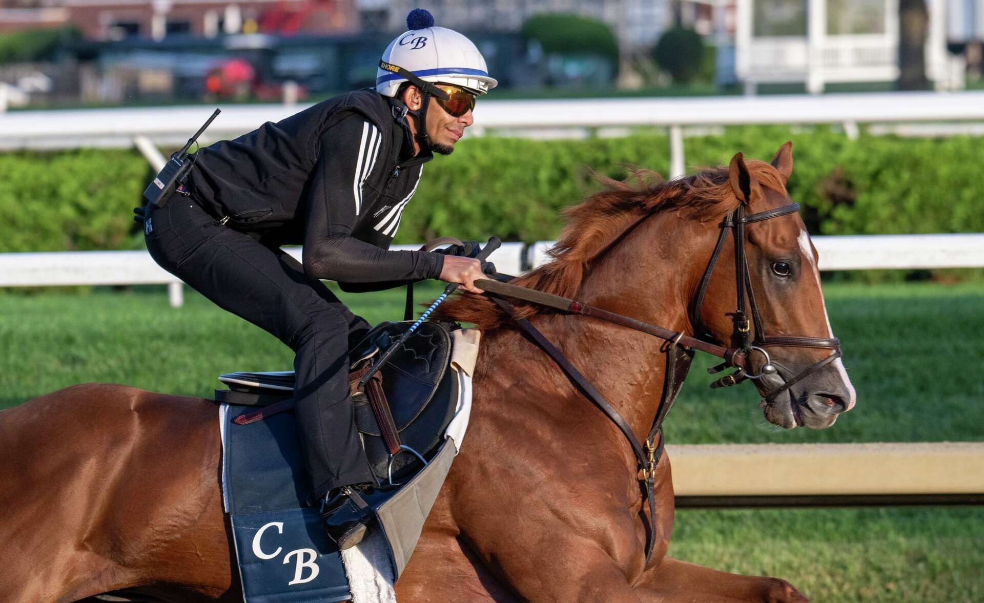 Travers Golden Tempo, Renegade to clash in 2026 Travers at Saratoga race track