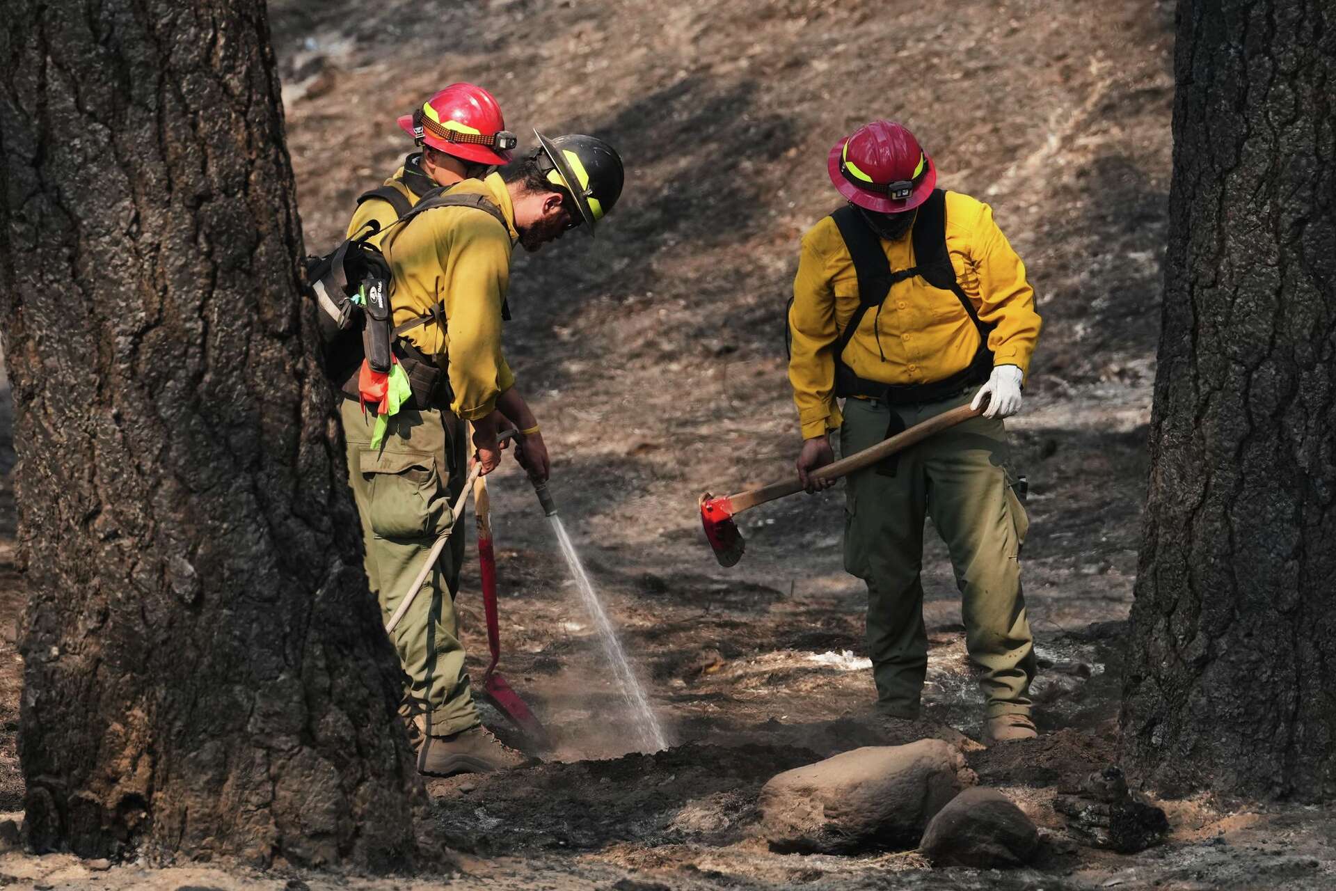diy glutathione nebulizer Officials warn wildland firefighters about the risks of using a supplement for smoke exposure x-styleCode:B1557 Vitamin B12 10mg Research Taille:120 Capsules