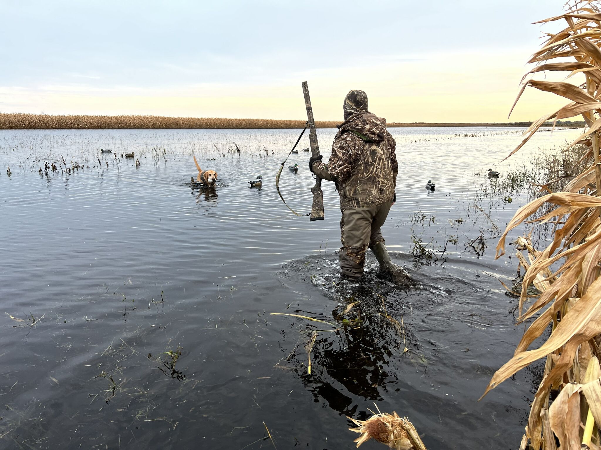 Steve Griffin: Michigan duck hunters avoid major cutbacks at four managed areas