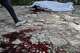 Blood stains the ground left behind by the victim of a gang attack in the Kenscoff neighborhood of Port-au-Prince, Haiti, Monday, Aug. 24, 2026.