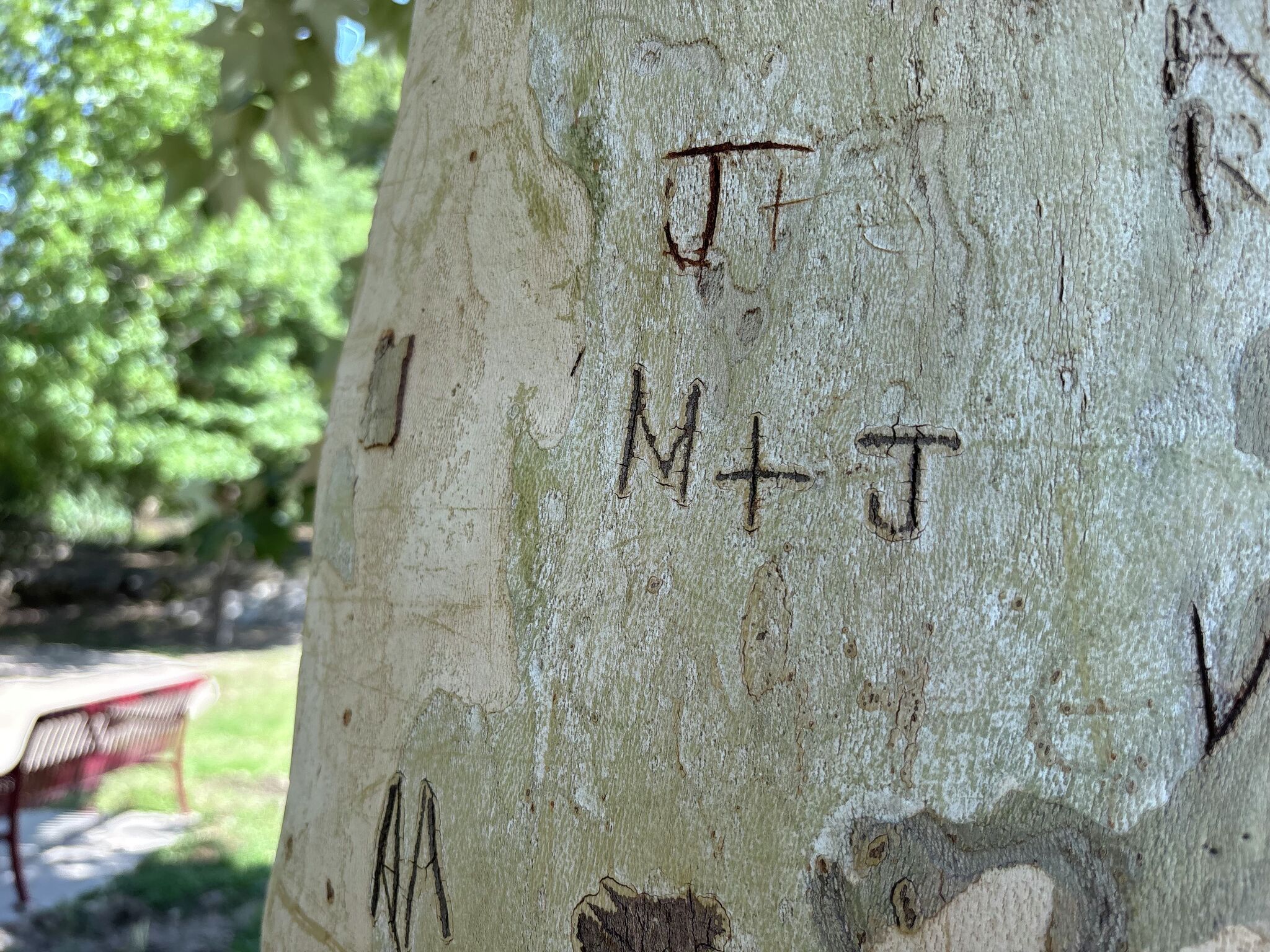 Couples leave their mark on this dreamy Hill Country trail