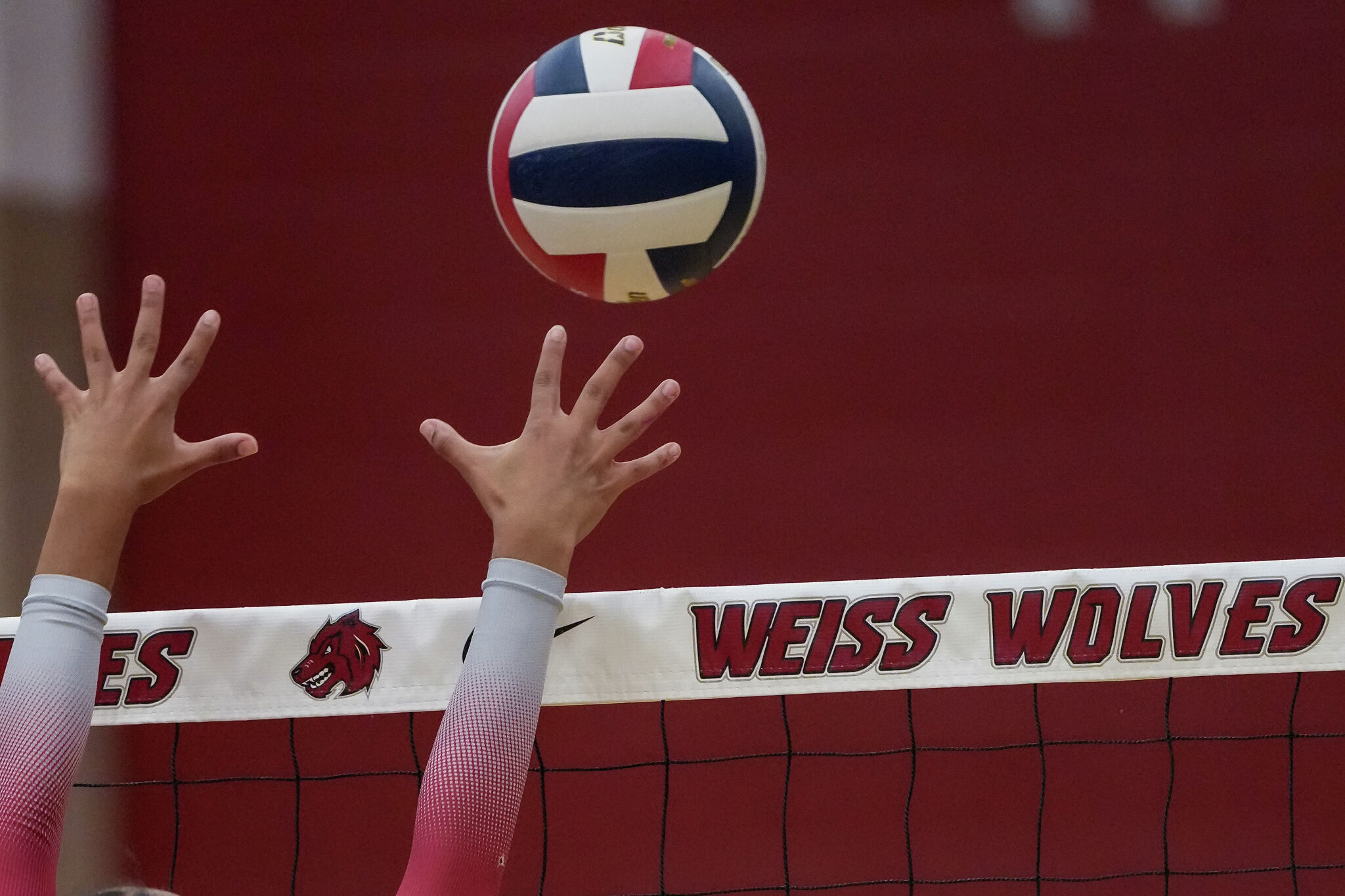 After one week at No. 2, Westlake is back on top of our Austin-area volleyball power poll