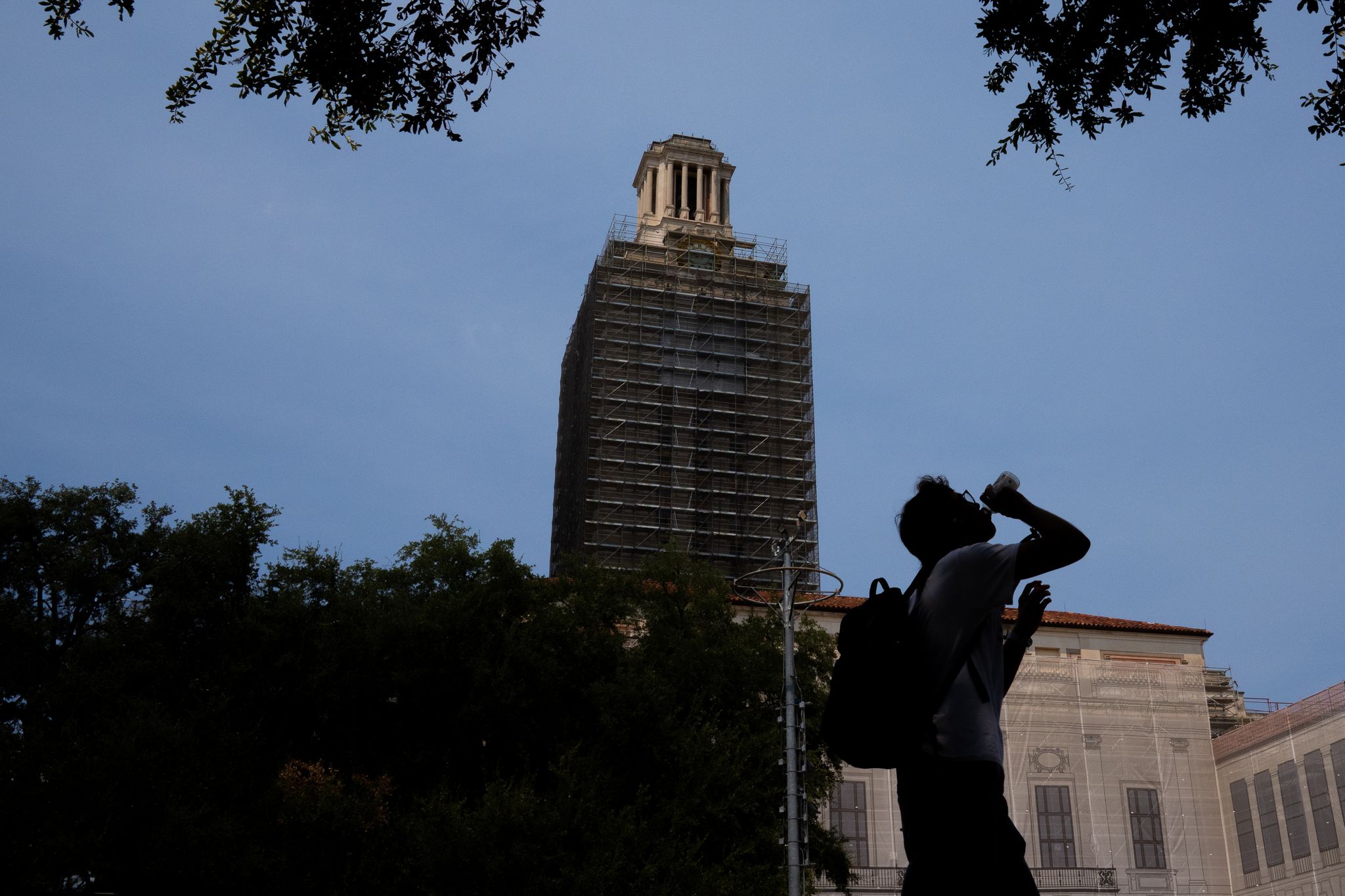 UT Austin Removes Women's and Gender Studies Courses From Core Curriculum - News Directory 3