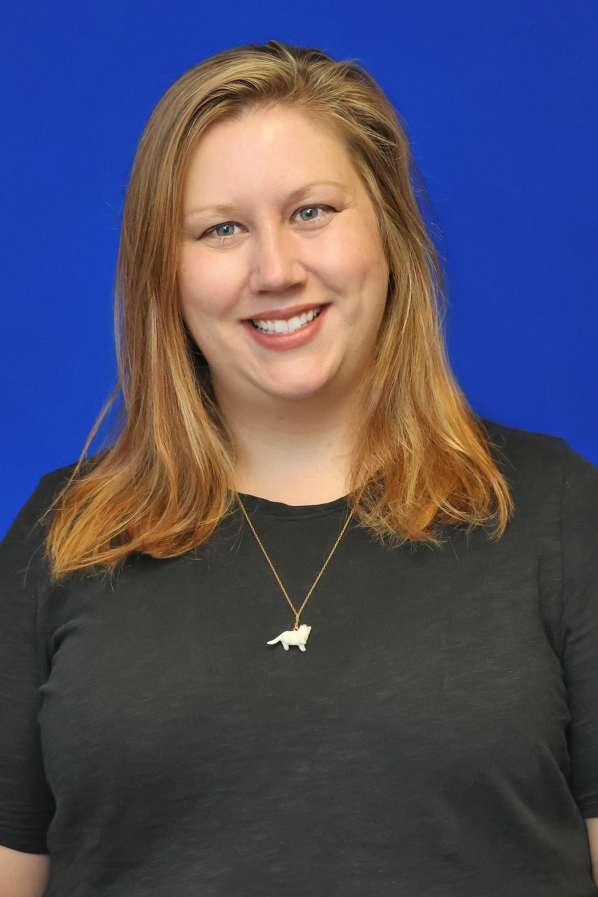 Lincoln Land Community College instructor honored for course excellence
