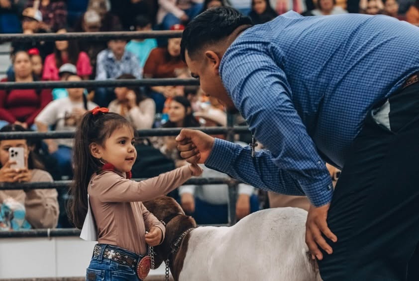 Registration opens for Laredo FAIR’s 2027 Peewee Goat Show