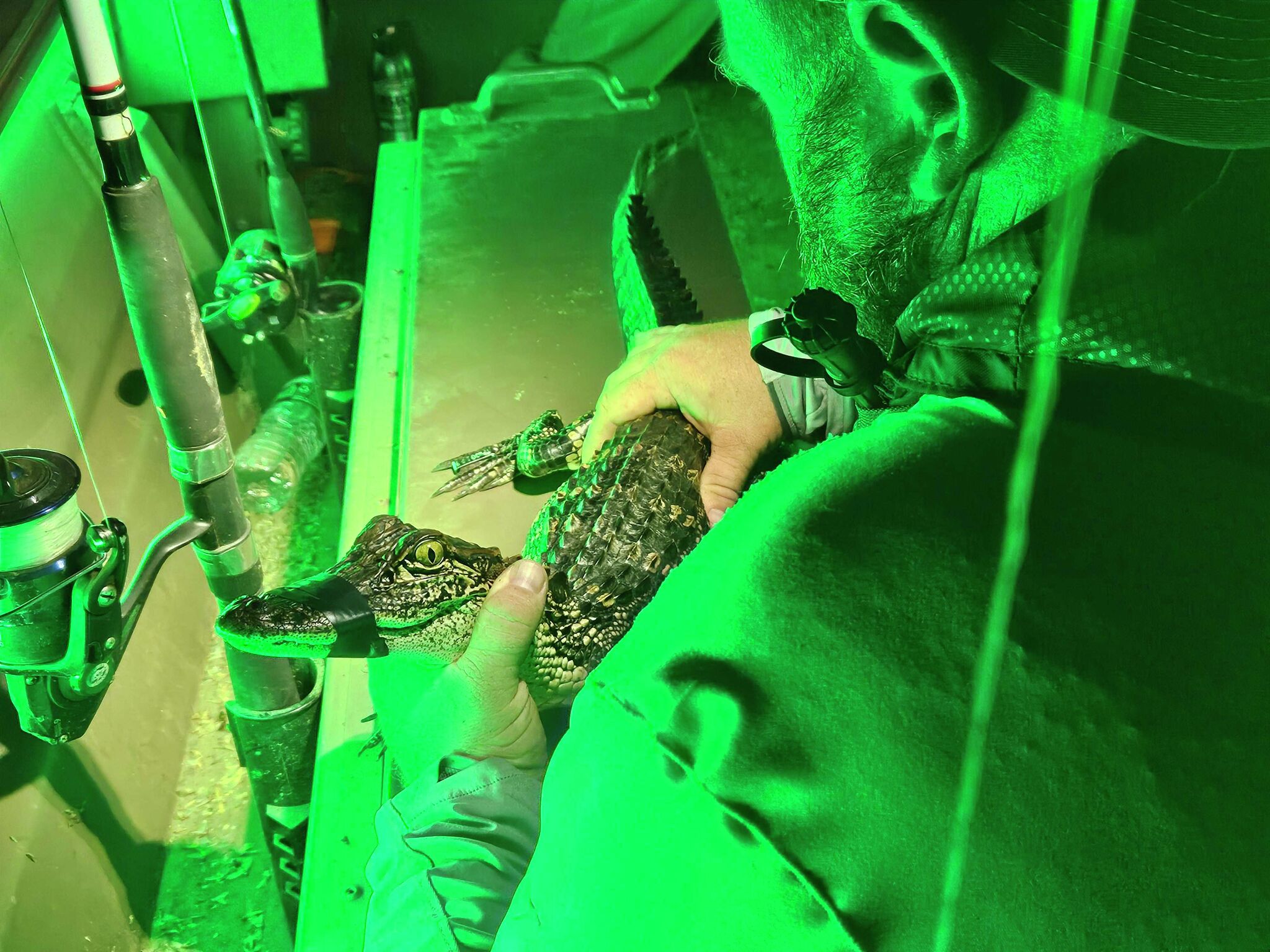 https://s.hdnux.com/photos/01/67/15/35/31250280/5/rawImage.jpg