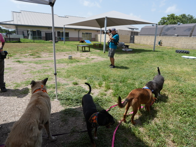 Animal shelter power is back on after storm paused electricity