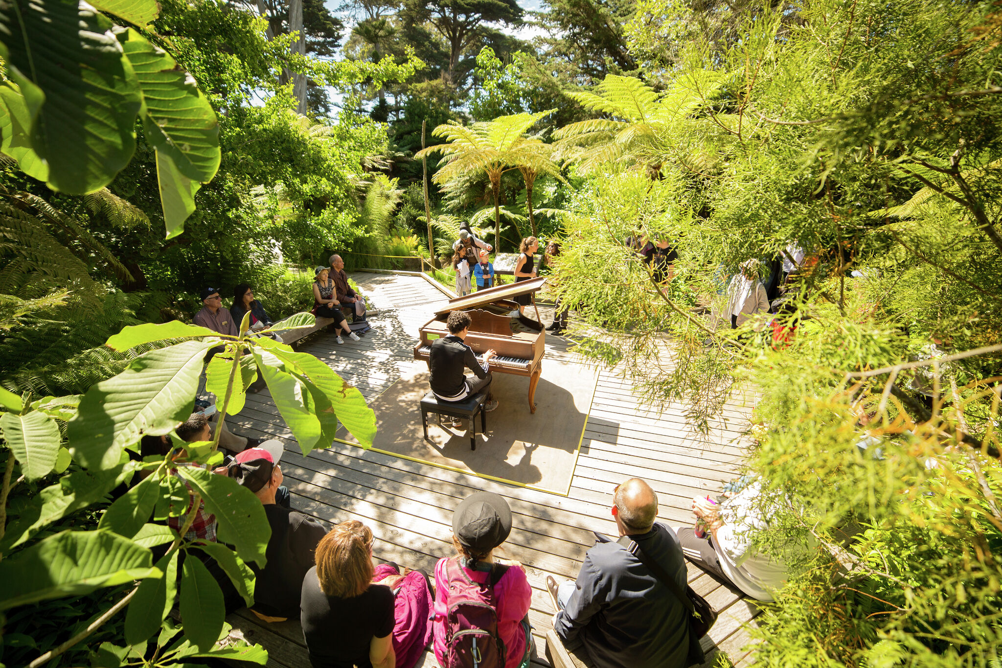 Flower Piano returns to San Francisco. Here’s how to make the most of it