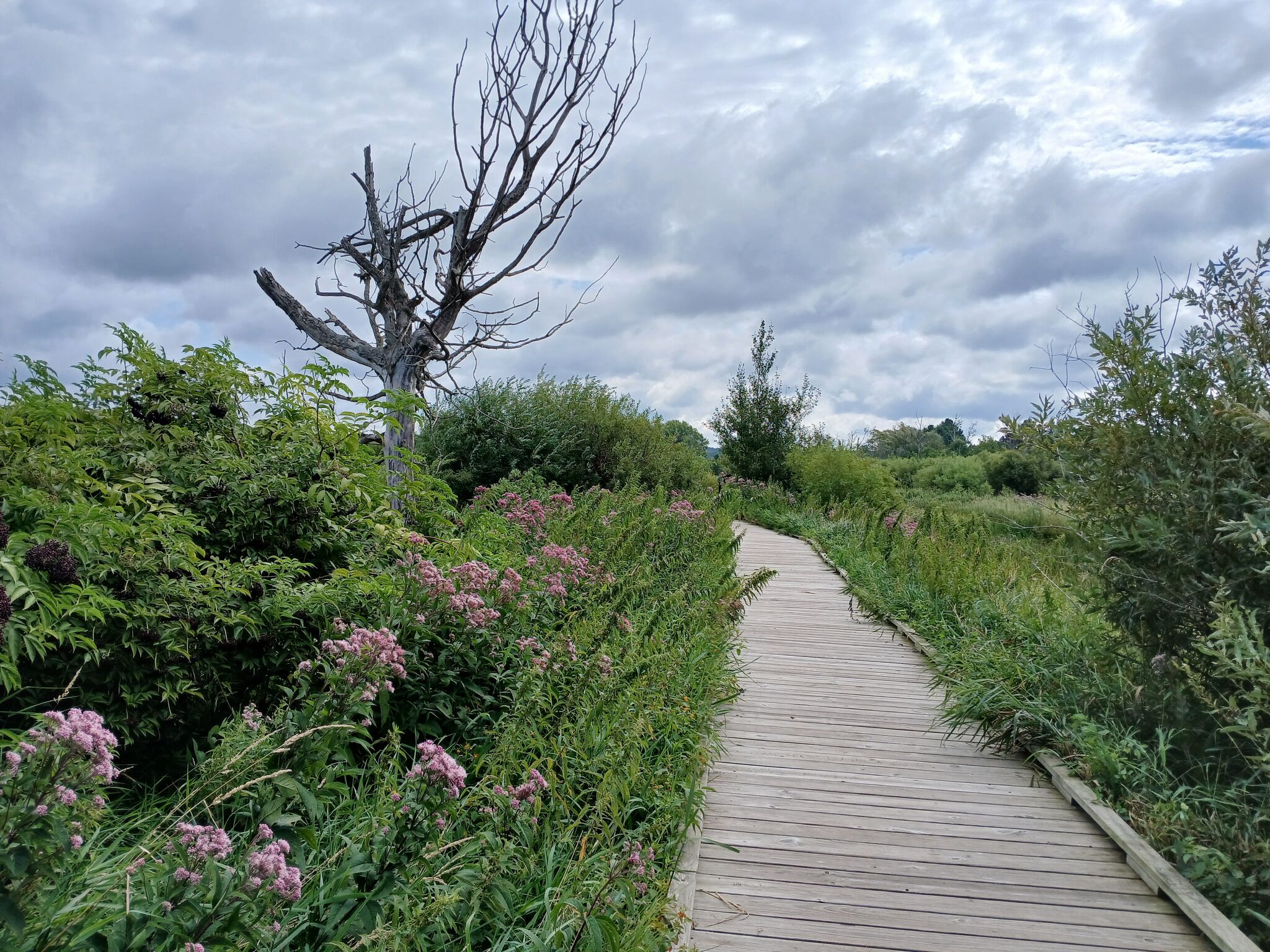 OPINION: Don't take local natural wonders for granted