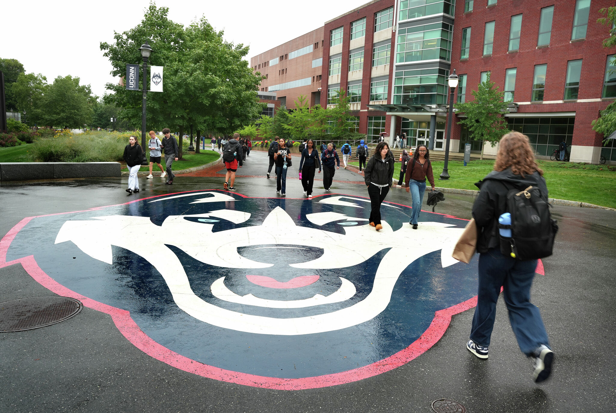 Applying to colleges and universities in Connecticut? Here's what each one requires