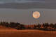 The harvest moon will rise on Sept. 26.