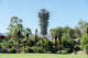 A cell tower is disguised as a tree at Vintage Club Eucalyptus in Indian Wells, California.