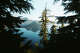 Vanishing Crater Lake species sends ominous signal for iconic lake's health