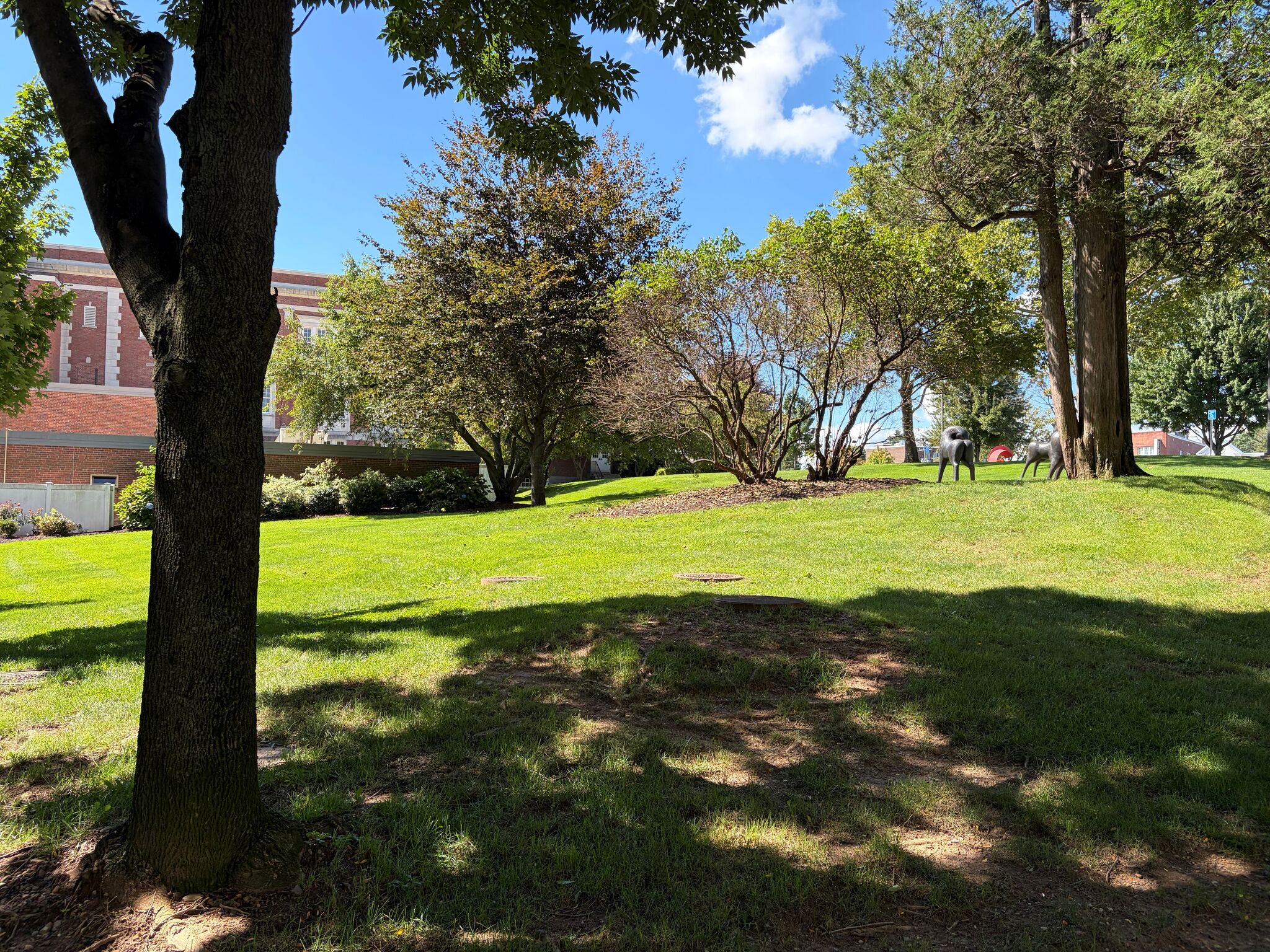 West Hartford plans to build public restrooms, visitor center on town hall campus