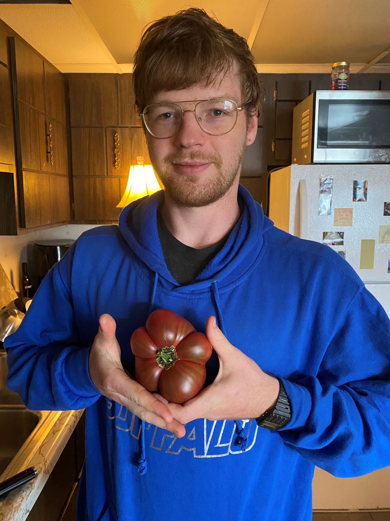 Owen's ‘Owen's Purple' tomato