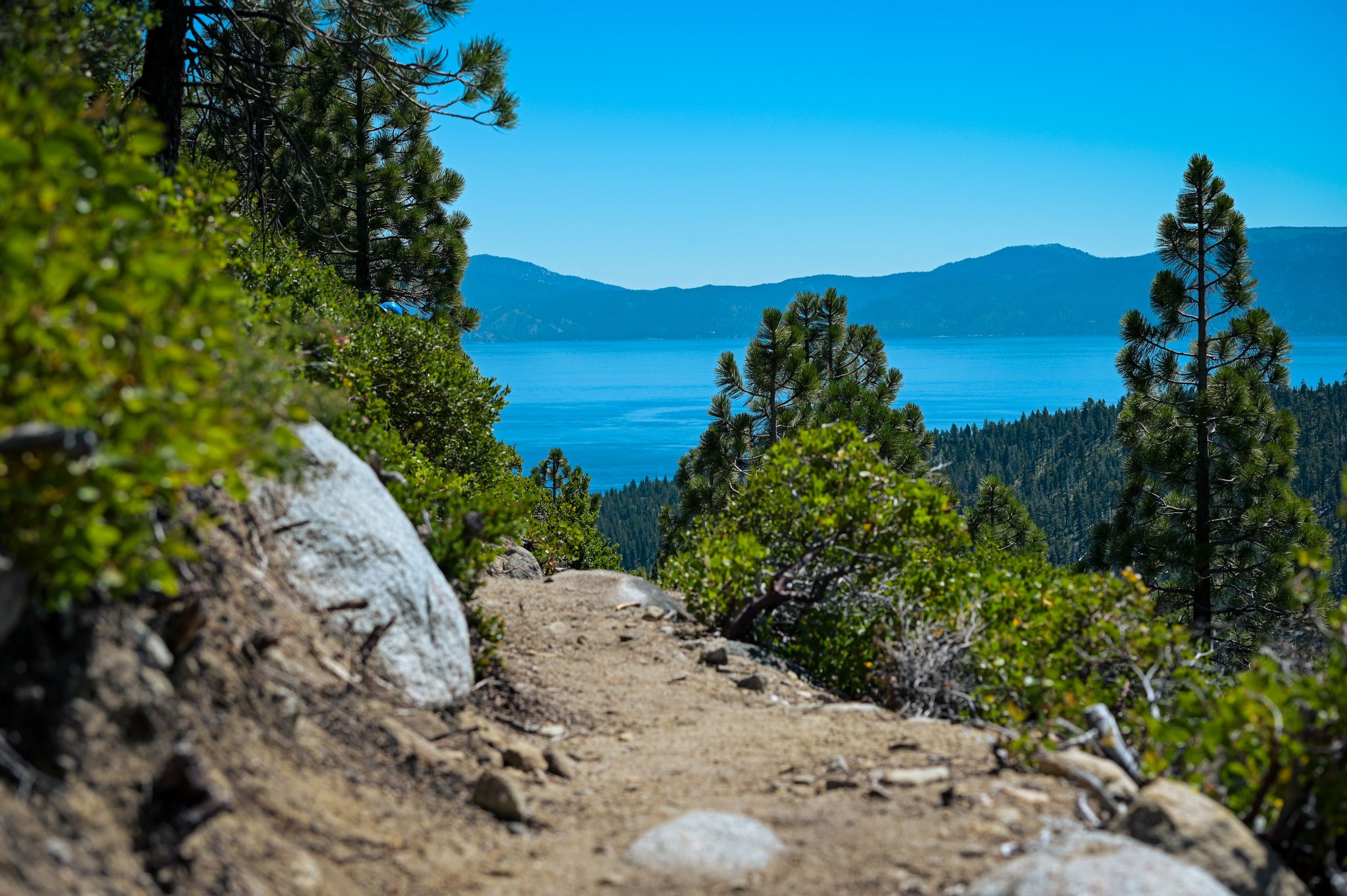 Epic’ new Tahoe trail through old-growth forest is being built right now