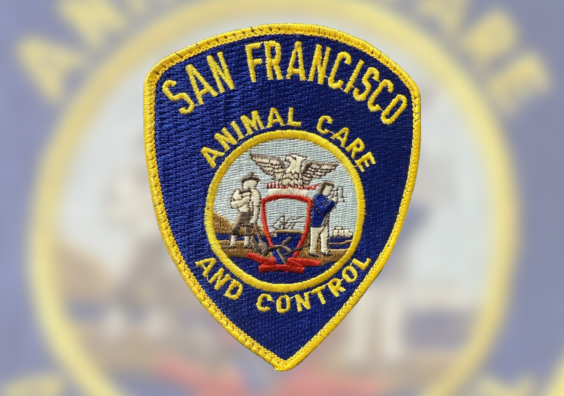 SF: Warning Issued After Mountain Lion Reported In Golden Gate Park
