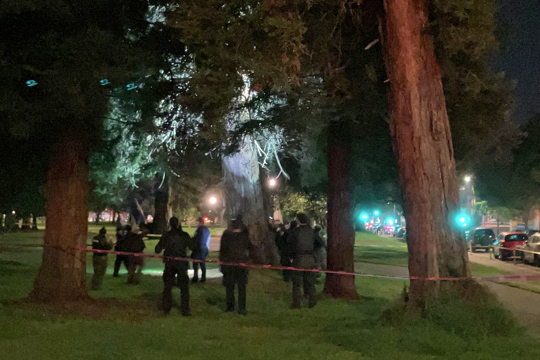 San Francisco Panhandle nach Berglöwensichtung ruhig; unklarer ...