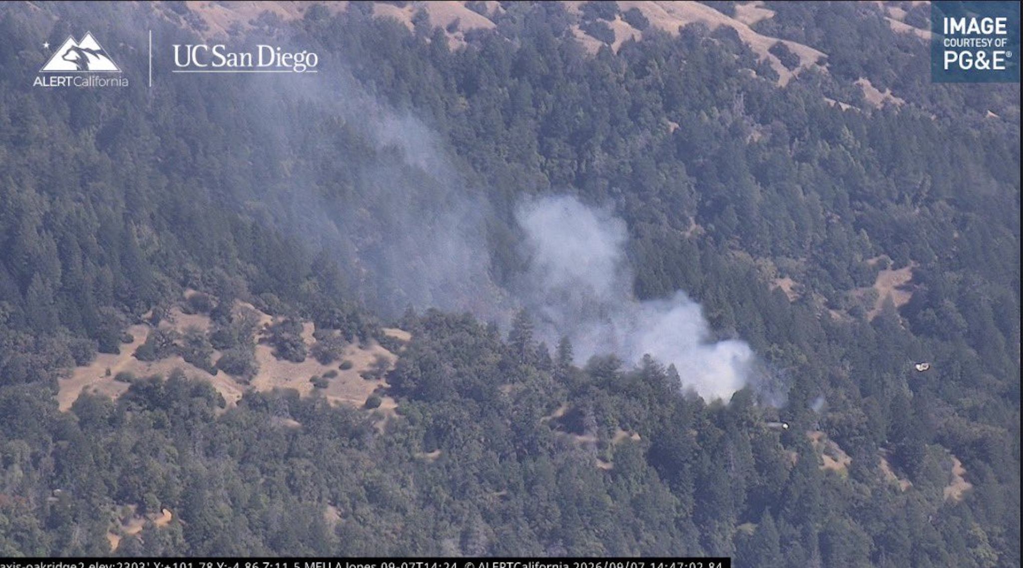 Sonoma Co.: Cal Fire Crews Attack Vegetation Fire West Of Lake Sonoma