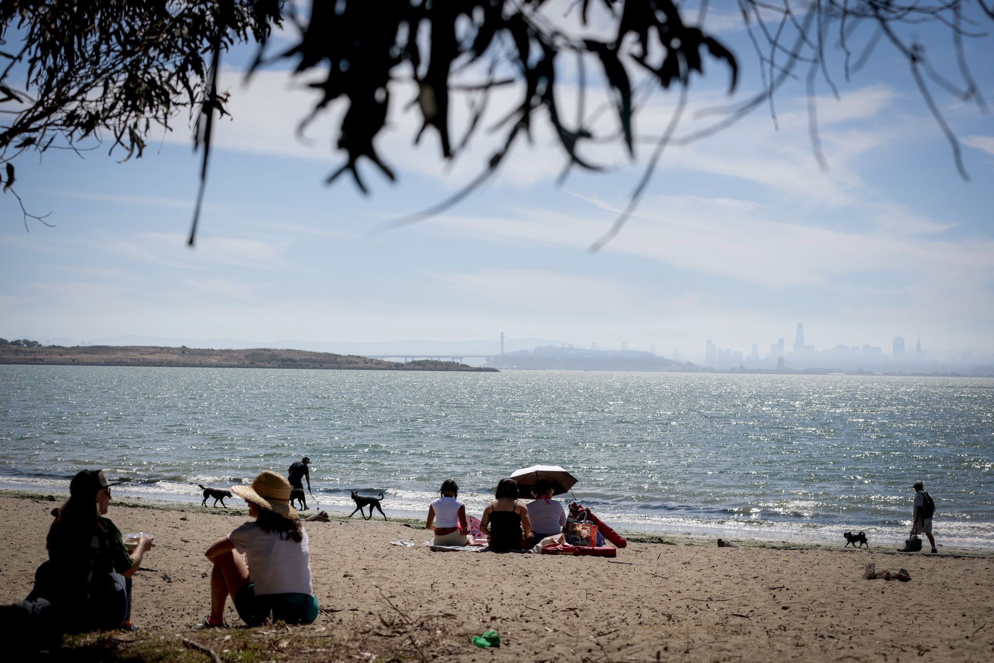 Why your weather app may not be correctly forecasting the S.F. heat wave