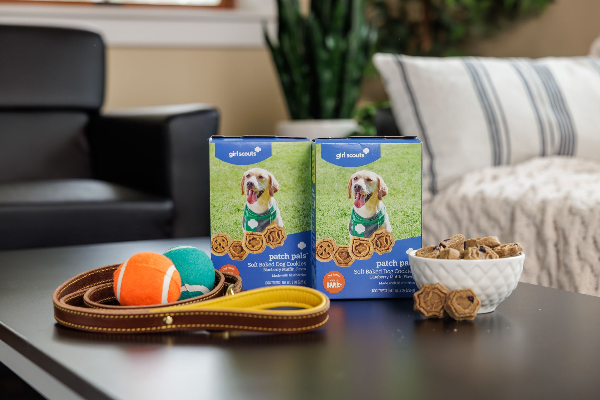 Girl Scouts' first cookies for dogs will go on sale in January By DEE-ANN DURBIN , AP Business Writer