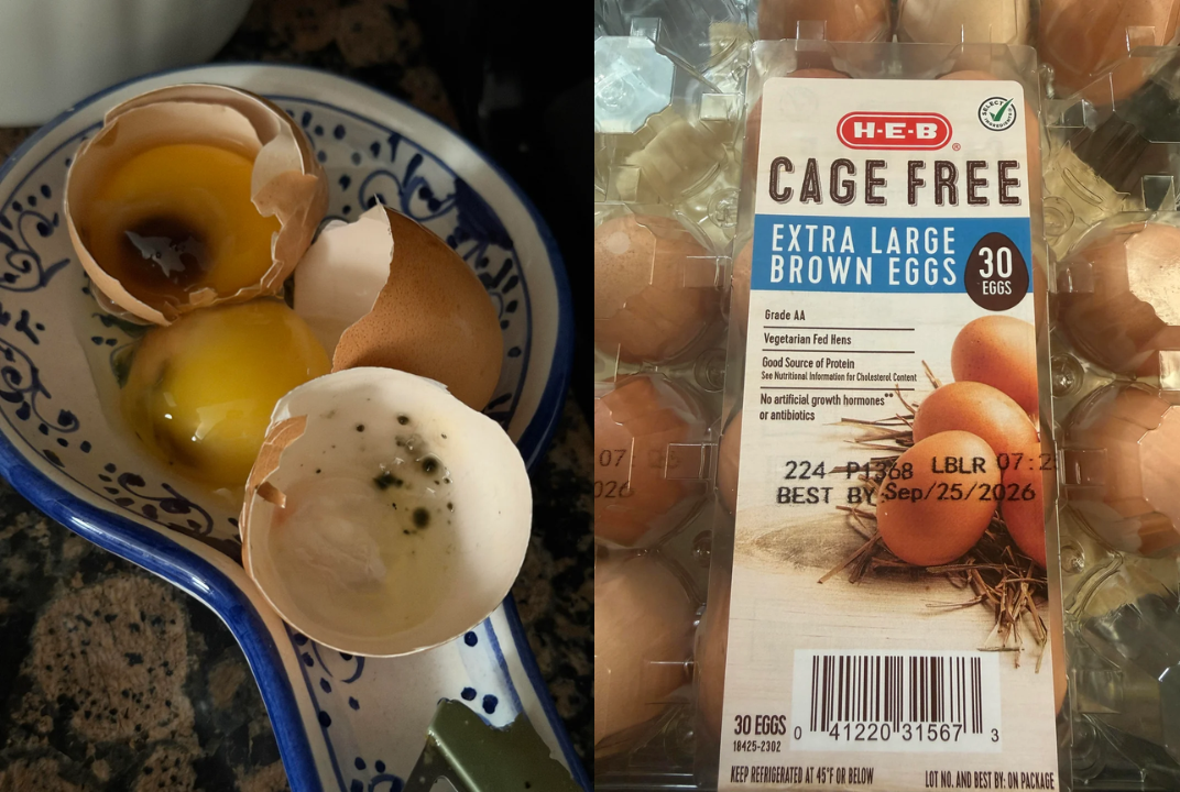 Mold in H-E-B-brand eggs sparks questions from Texas shoppers