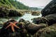 Why soundscape experts are obsessed with this Olympic National Park beach