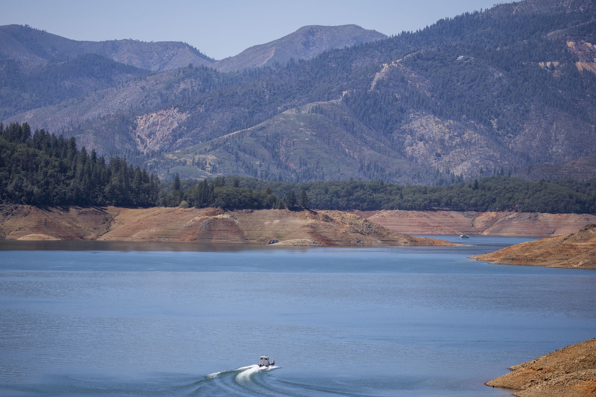 Man drowns trying to rescue dog from Northern California lake