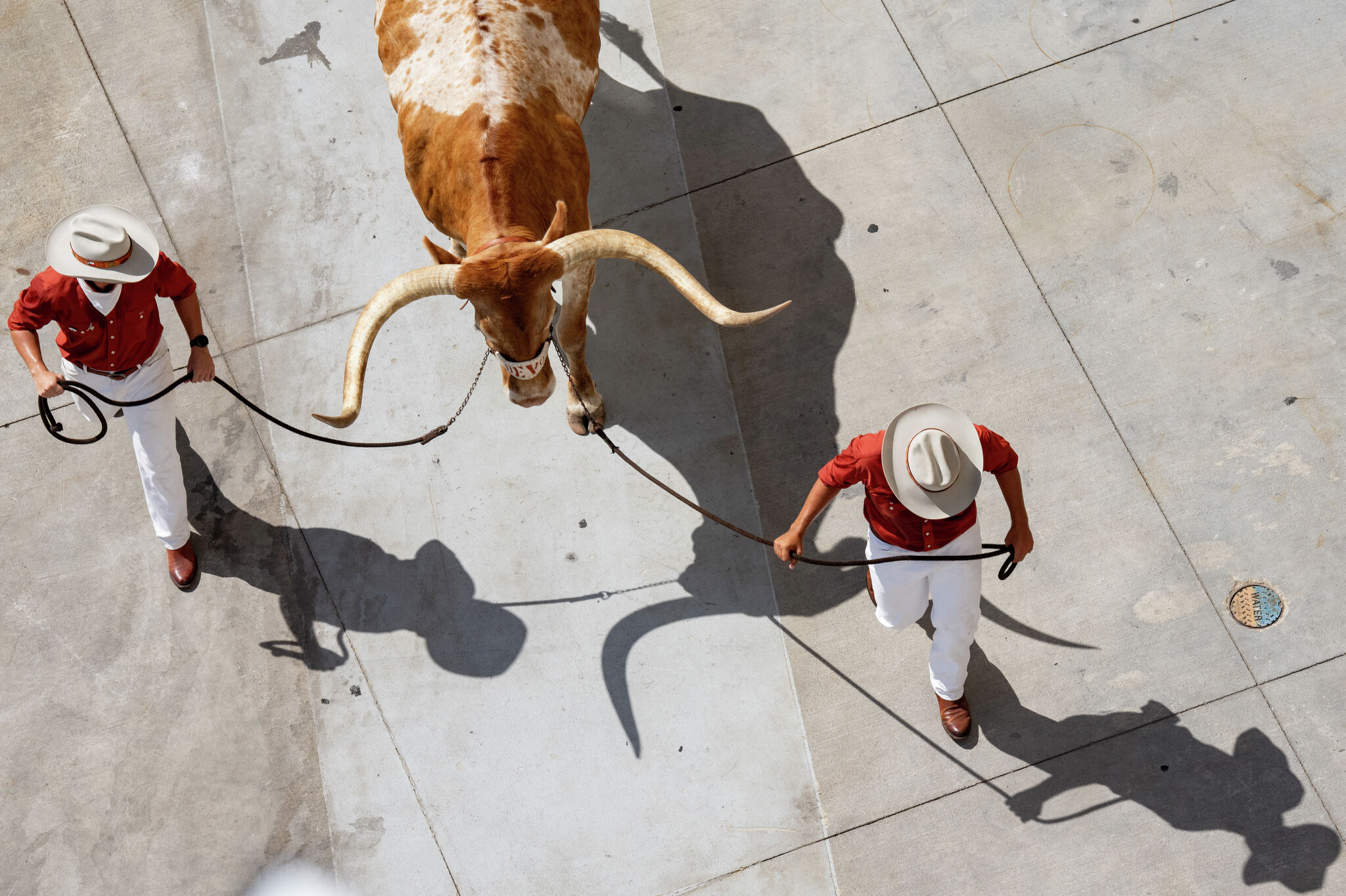 Live updates, betting information for Texas football vs Ohio State
