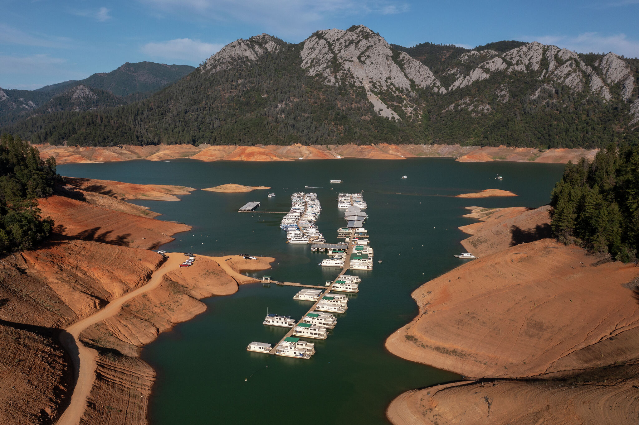 Man dies in Shasta Lake trying to save pet dog